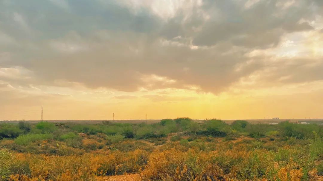 1651018952105178.jpg 微信图片_20220427082153.jpg