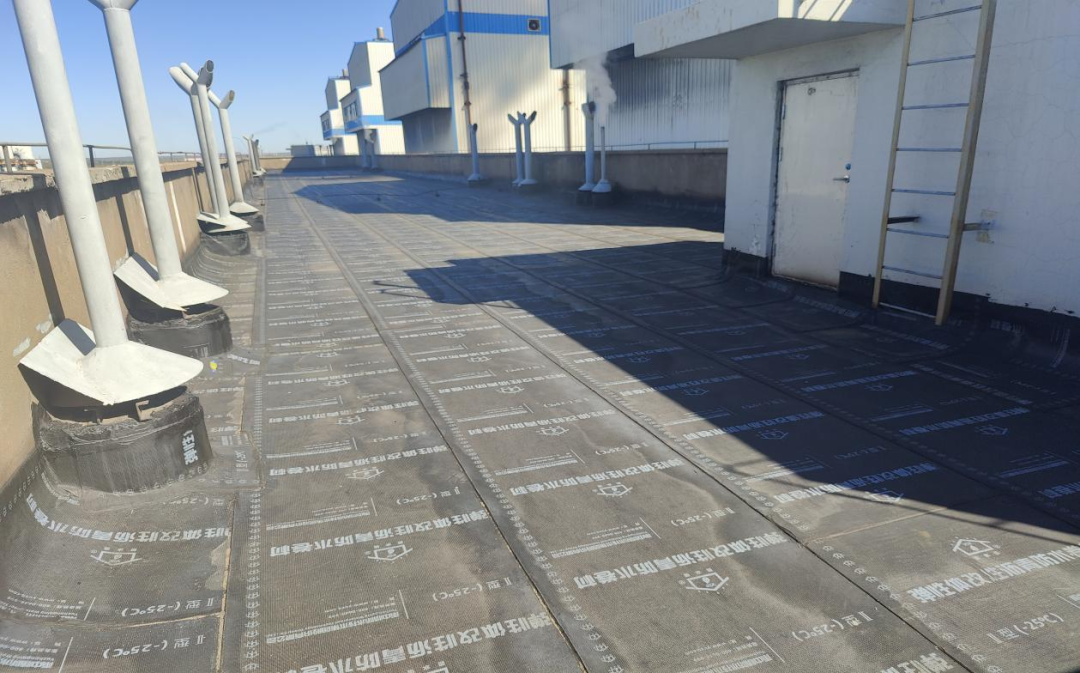 1689120802983110.png 640 (7).png