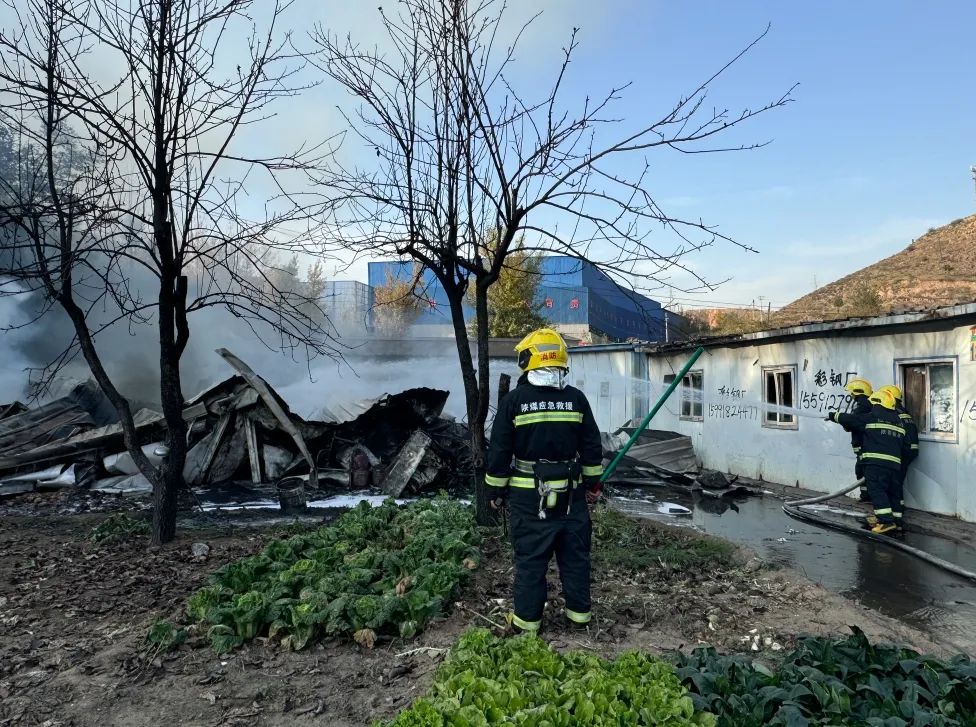 1730420557520684.jpg 640 (5).jpg