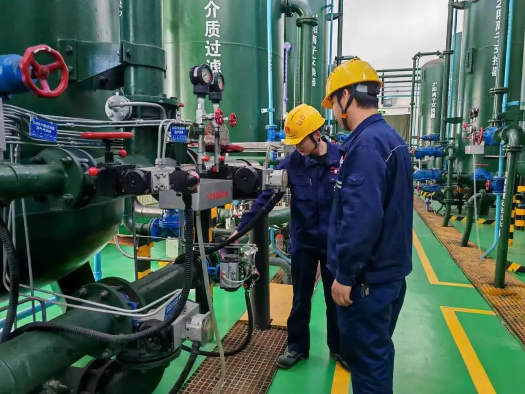 1734311976768289.jpg 640 (5).jpg