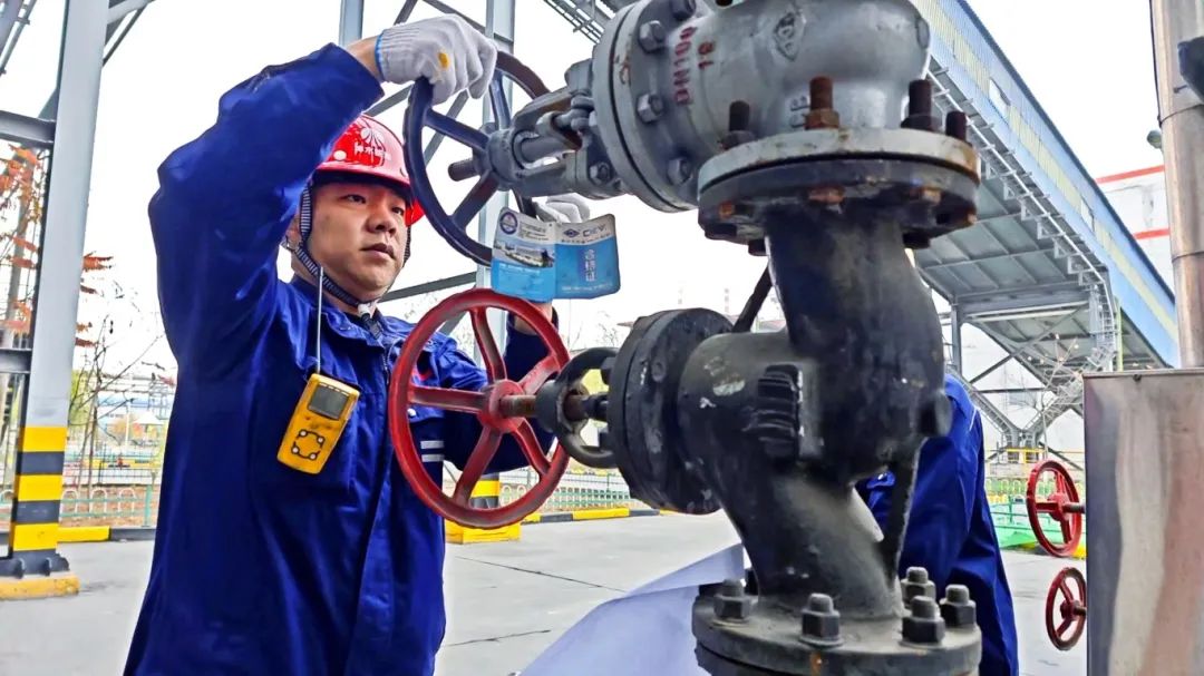 1737073842139982.jpg 3.jpg