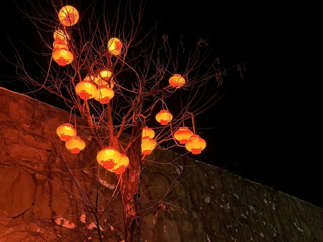 1737419312109373.jpg 640 (11).jpg