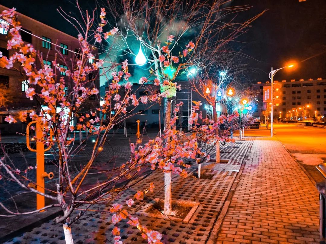 1737419377122636.jpg 640 (15).jpg