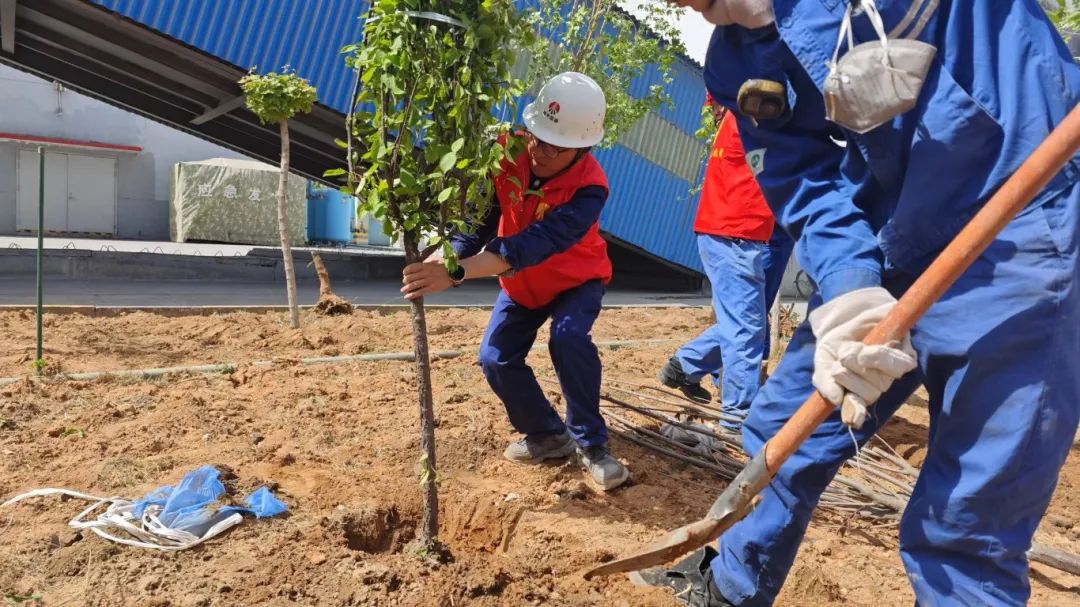 1748220432394171.jpg 2.1.jpg