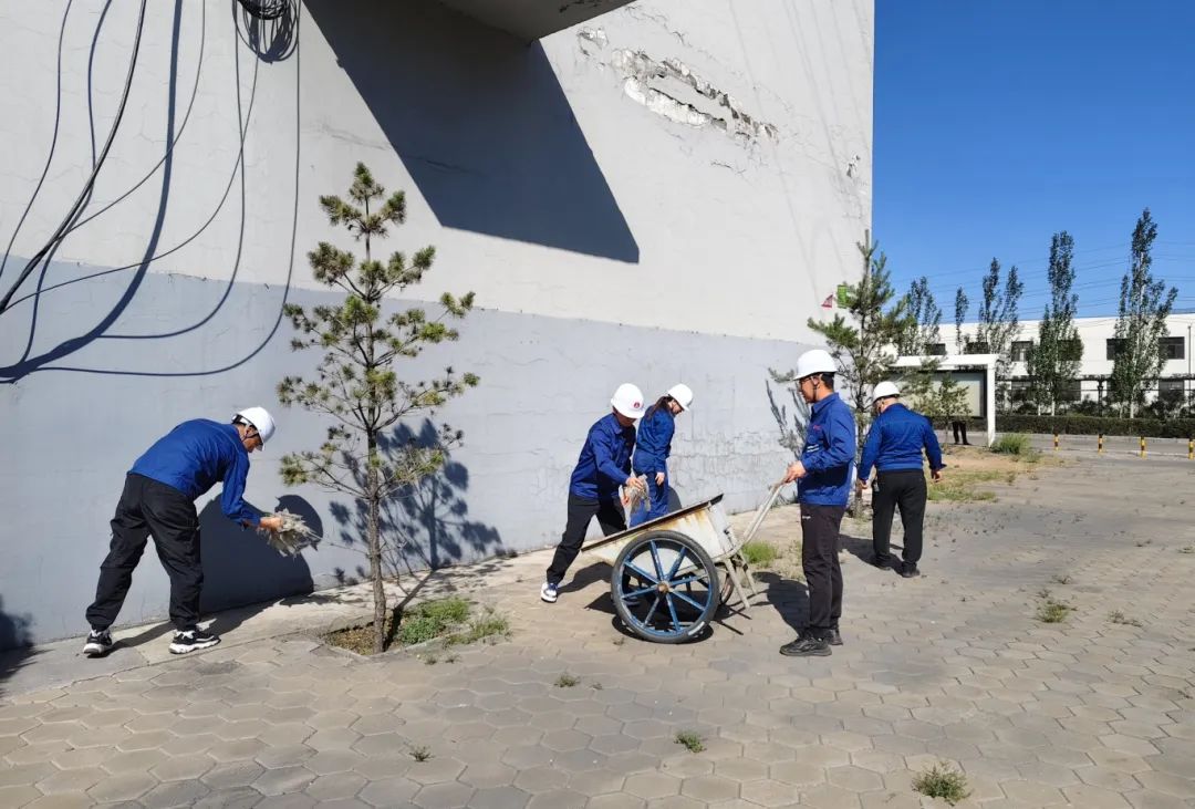 1749169303512035.jpg 5.jpg